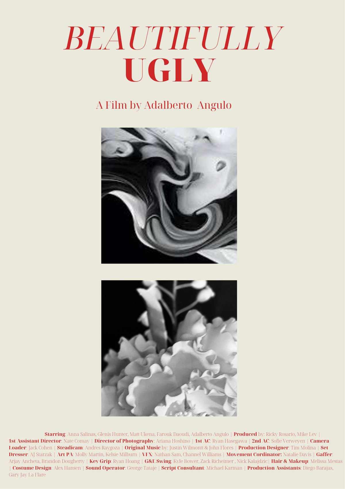Poster for Beautifully Ugly
