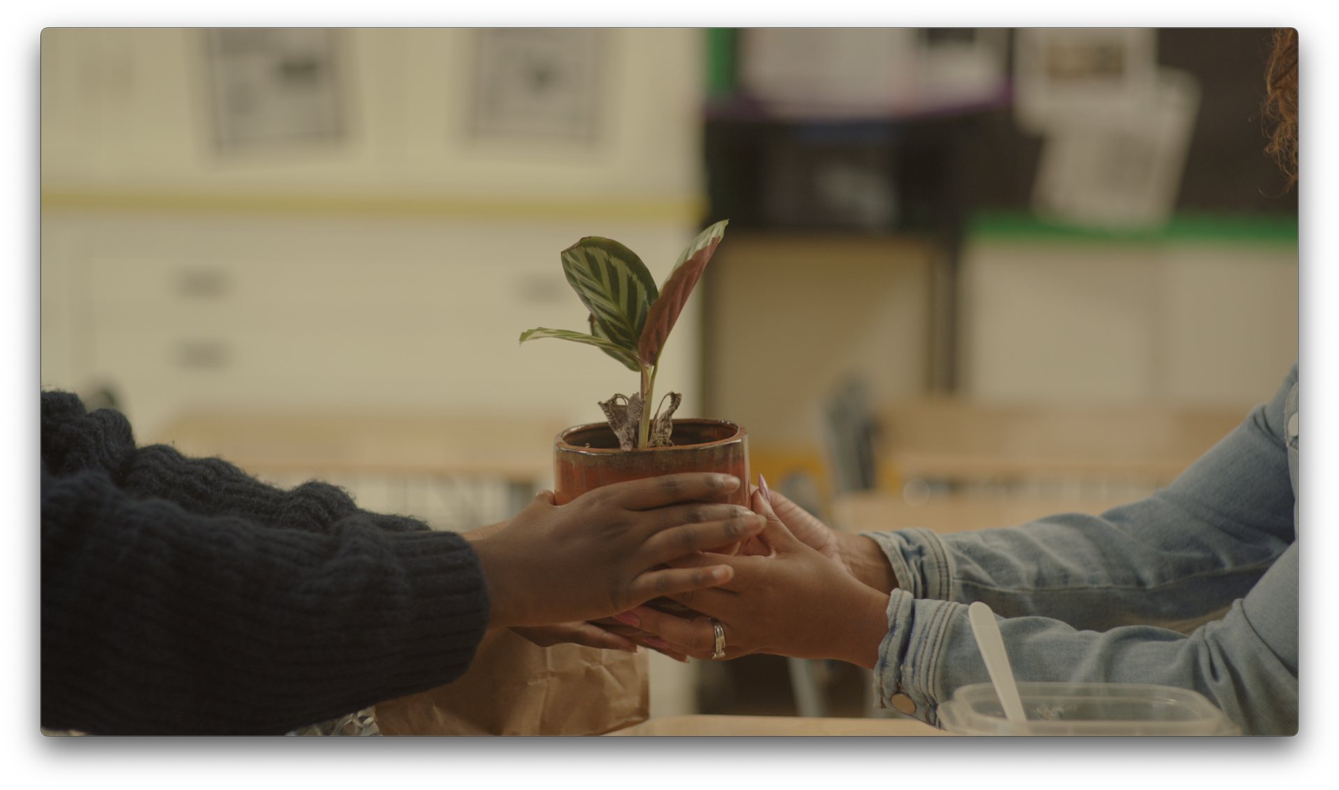 Still from Black Seeds Continue to Grow