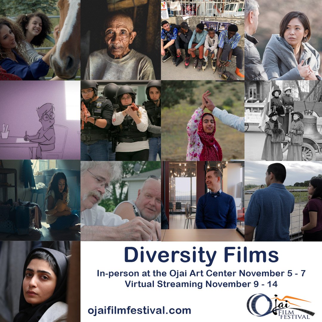diversityfilms.jpg